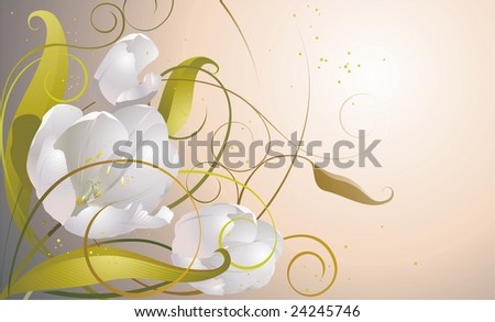 White flowers tulips