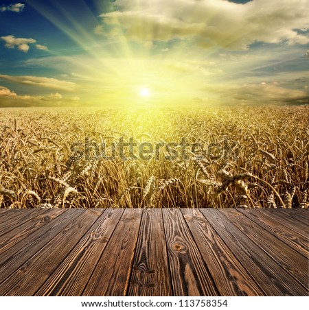 wood textured backgrounds in a room interior on the meadow and field backgrounds