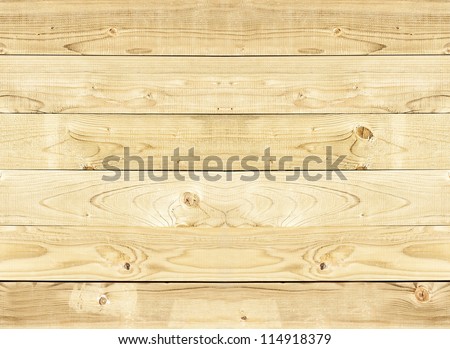 Wood Texture. Background Old Panels