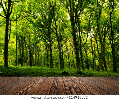 Wood Textured Backgrounds In A Room Interior On The Forest Backgrounds