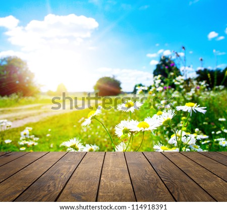 wood textured backgrounds in a room interior on the sky field backgrounds wood textured backgrounds in a room interior on the sky field backgrounds