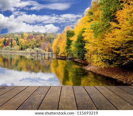 wood textured backgrounds in a room interior on the autumn forest backgrounds