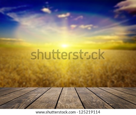wood textured backgrounds in a room interior on the sky backgrounds