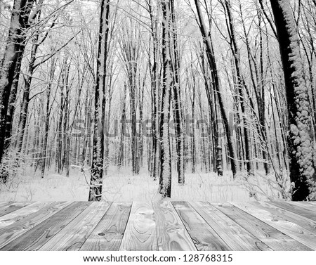 wood textured backgrounds in a room interior on the forest winter backgrounds. white and black