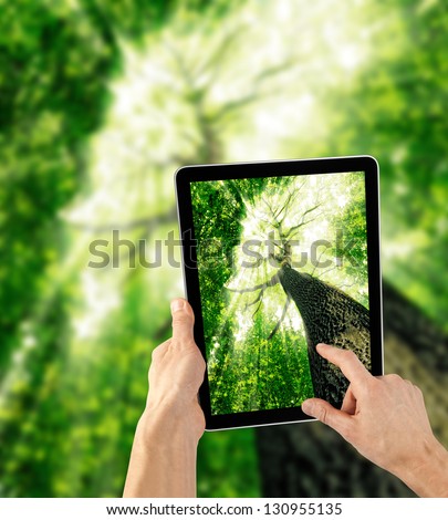 tablet computer in hand on the forest backgrounds.