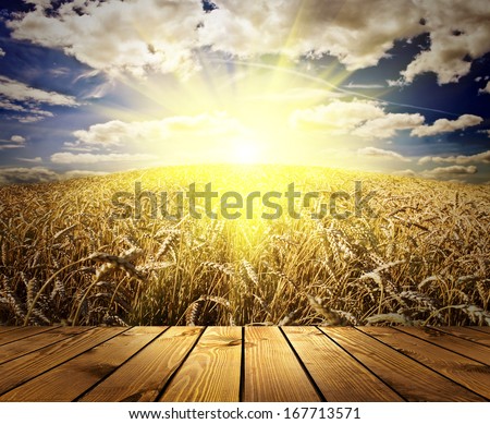 wood textured backgrounds in a room interior on the wheat and sky backgrounds