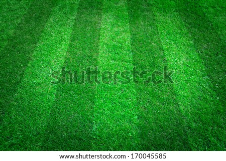 Green grass natural background. Football field. Top view.