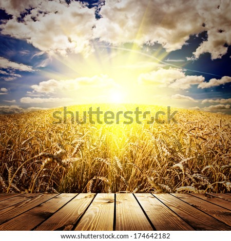 wood textured backgrounds in a room interior on the wheat and sky backgrounds