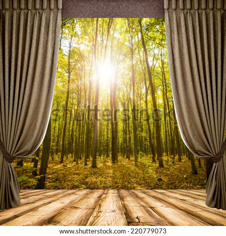 Open curtains on the background of the forest autumn background