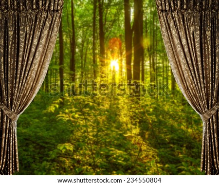 Open curtains on the background of the forest autumn background