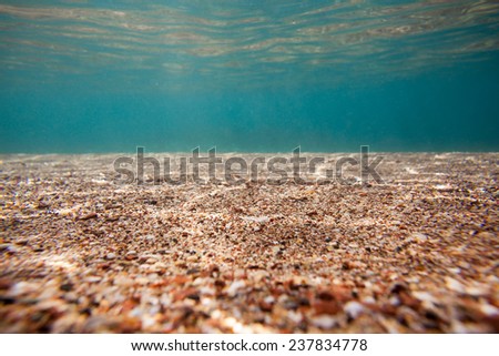 background sand on the beach underwater
