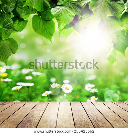 wood textured backgrounds in a room interior on the field backgrounds