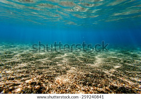 background sand on the beach underwater