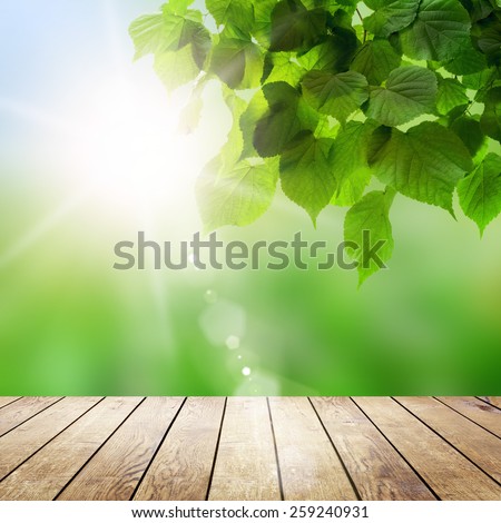 wood textured backgrounds in a room interior on the field backgrounds