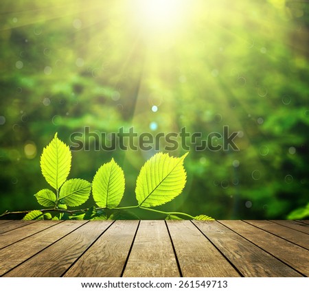 Beautiful sunlight in the autumn forest with wood planks floor interior background