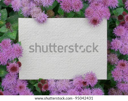 a business card blank on the flowers