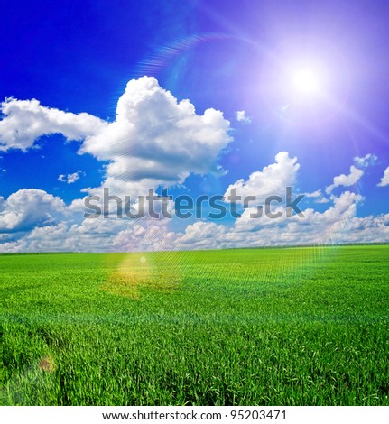 field of grass. meadow green under sky