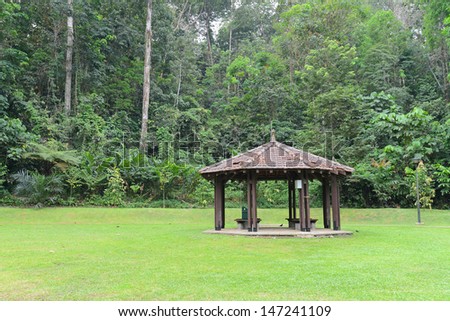 A Lone Shelter At A Forest Clearing
