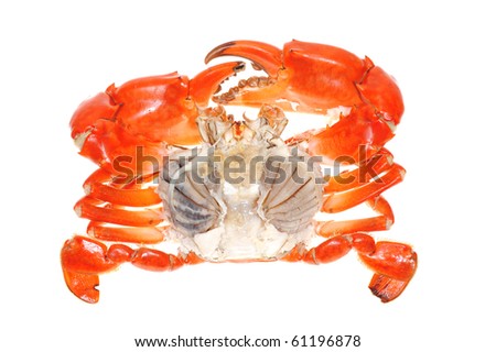 Crab Parts