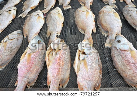 Sun Drying Of Salted Fish Outdoor