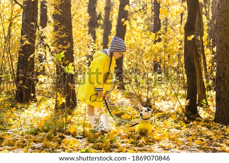 Child plays with Jack Russell Terrier in autumn forest. Autumn walk with a dog, children and pet concept.