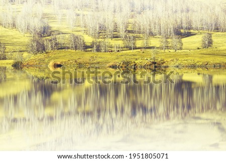 Trees on the shore of lake in early spring. Hills with trees are reflected in the water surface. South Ural, Russia