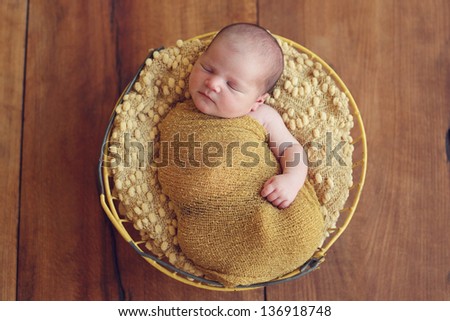 Baby in a wire basket