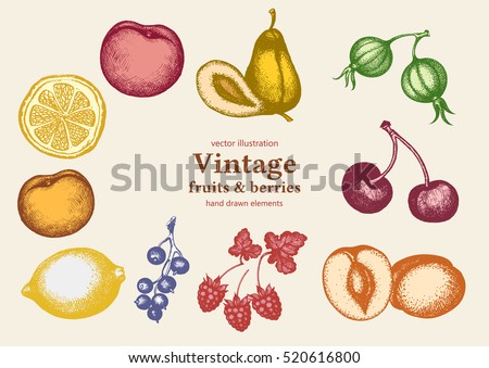 Fruits vintage collection hand drawn vector. Retro sketch fruits and beries set. Eco foods, pears, apples, peaches, lemons, cherries, gooseberries, apricots. Fruits set