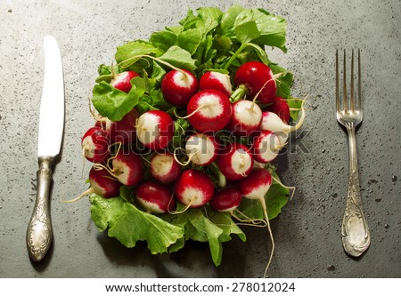 Concept of vegan food - radishes with water drops, selective focus