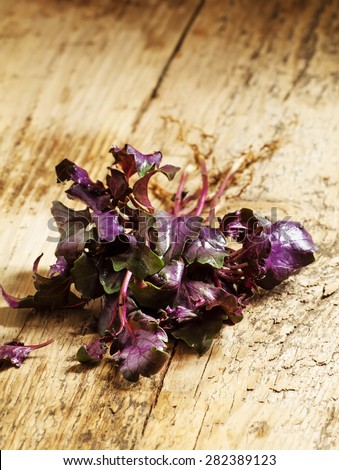 Purple basil on a wooden table, selective focus