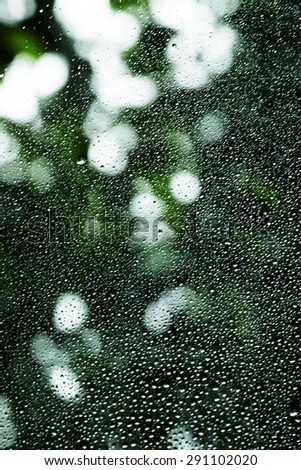 Raindrops on glass, natural green background, selective focus