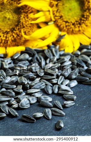 Sunflower seeds on black  background, selective focus