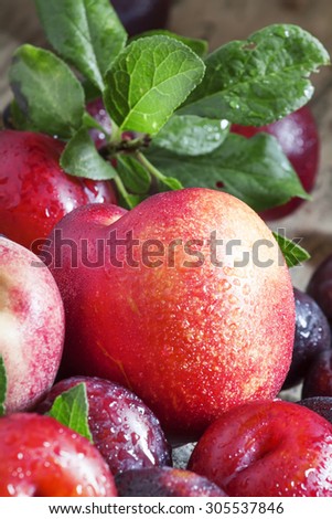Colorful plums and peaches, still life, selective focus