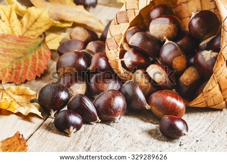 Fresh edible chestnuts spill out of a wicker basket on autumn background with yellow fallen leaves on the old wooden table, selective focus