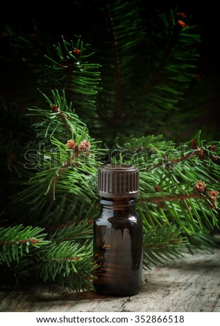Aromatic essential oil  in a small bottle on the background of fir branches, selective focus