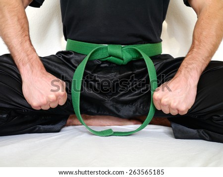 sitting fighter martial arts green belt
