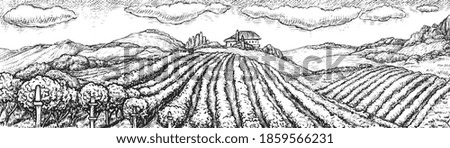 Vineyard landscape. Hand drawn rustic vineyard seamless rural landscape sketch doodle illustration. Vine grape bush plantation field on hill and winery building on background. Viticulture