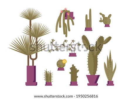 Set of cactus house plants and succulents in pots. Window gardening infographic elements. Flat Art Rastered Copy illustration