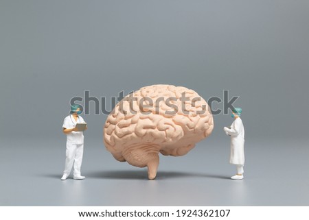Miniature people doctor and nurse observing and discussing about human brain, Science and Medical Concep