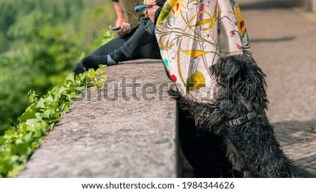 A closeup shot of a person sitting with a telephone and dog