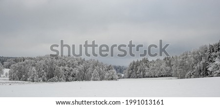 A panoramic shot of a forest covered in trees and snow under a cloudy sky on a gloomy day