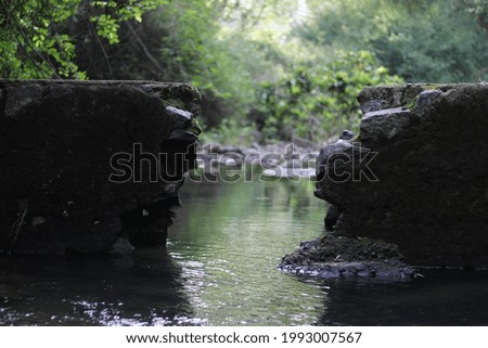 A closeup of a small broken river barrier in a forest under the sunlight with a blurry backgrou