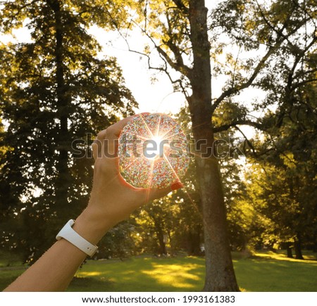 A closeup shot of a person holding a donut with the sun rays and trees in the background