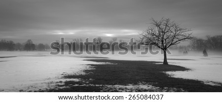 Single lonely tree silhouette in a winter setting. Ground is partially covered with snow. Tree is bare with no leaves and many branches. Image is of loneliness, independence, somber, captivating.