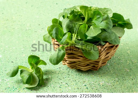 Salad Rapunzel (corn salad, lamb\'s lettuce) in a wicker basket on a green background