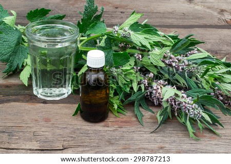 Medicinal plant motherwort (Leonurus)\
and tincture of motherwort in a pharmaceutical bottle and glass