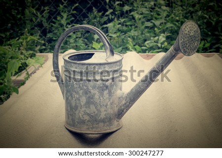 Old galvanized watering can to water the plants on a piece of slate in the yard. Tinted photos