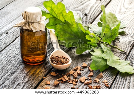 Medicinal plant oak (Quercus). Branch, tincture and oak bark in a scoop on a dark wooden table. In herbal medicine used the bark, leaves and acorns (used as a substitute for coffee). Selective focus