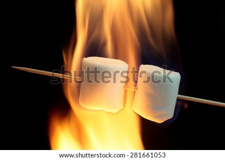 Marshmallow on a wood stick in fire.