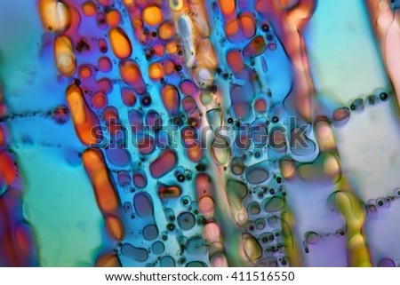 Crystals of water ice under the microscope with a magnification of 80 times and in polarized light. Ice a crystalline inorganic solid and has a mineral structure that can be shown under a microscope.